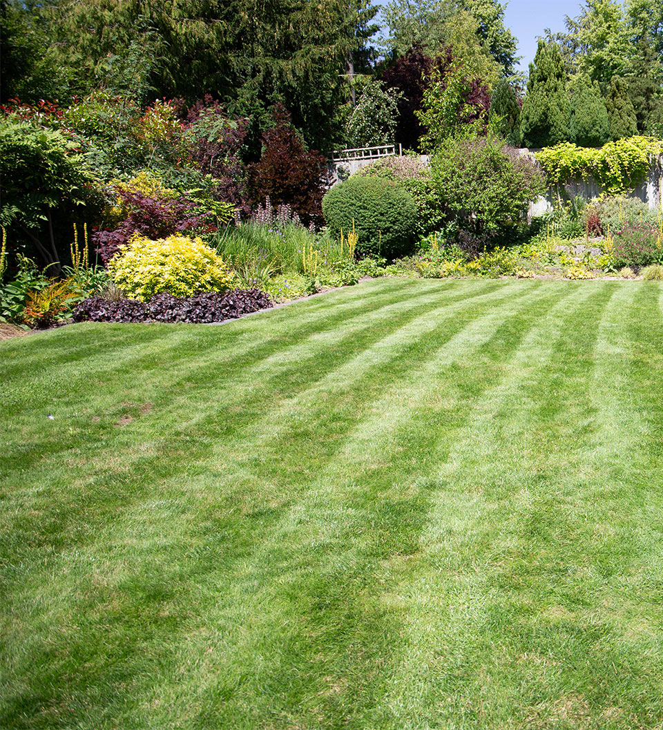 Lawn Care Service Package Costs | Greensleeves