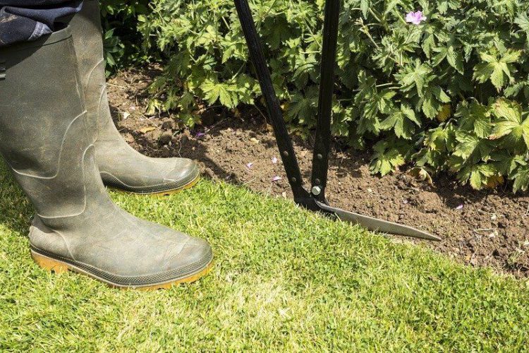 How To Edge A Lawn: Guide To Lawn Edging