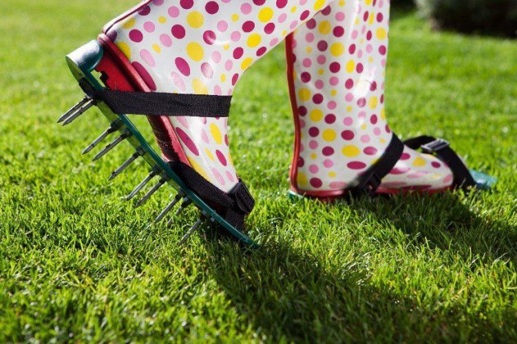 5 Essential Gardening Tools for Beginners