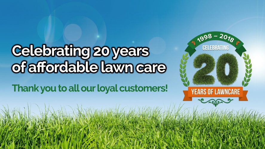 The Essential Lawn Care Guide For Homeowners