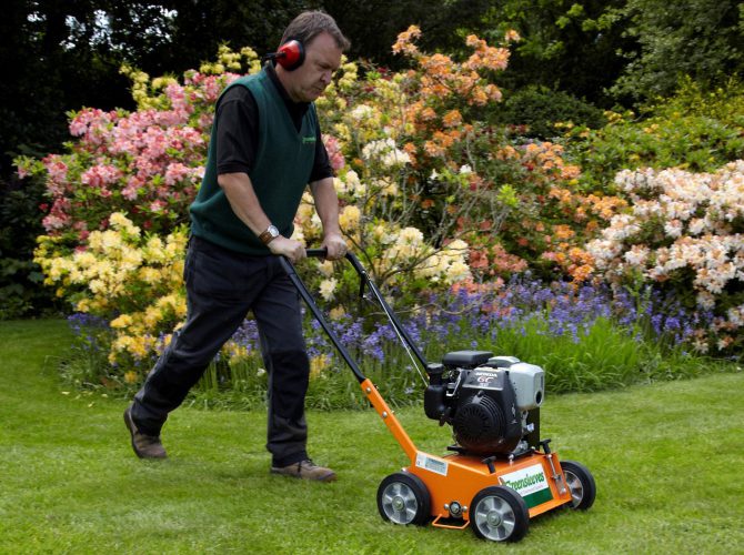 Essential Gardening Jobs in September