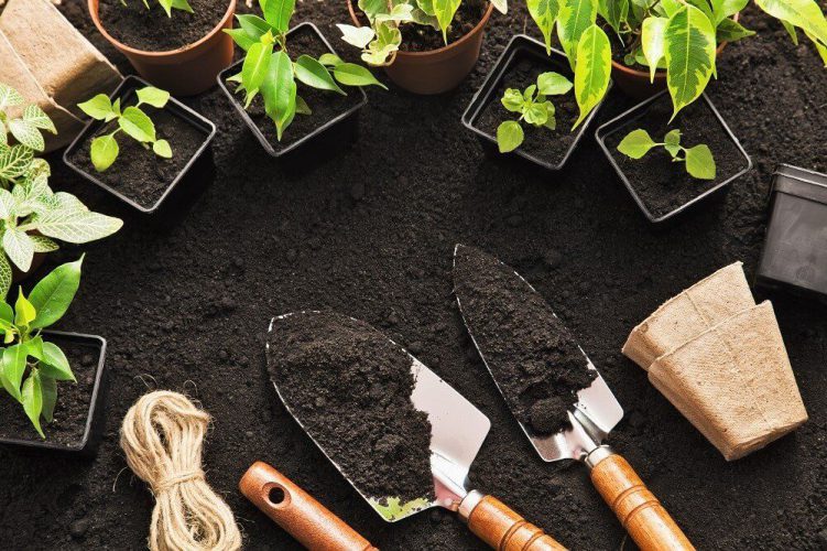 The Lazy Gardening Guide: 3 Tips for a No-Work Garden