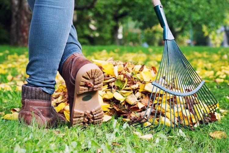 November Gardening Jobs