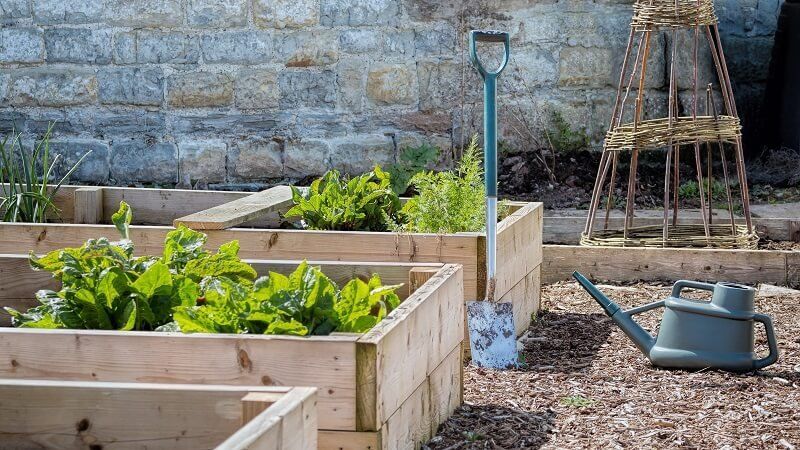 Guide To Raised Beds: How To Create & Maintain Raised Beds (And Why!)