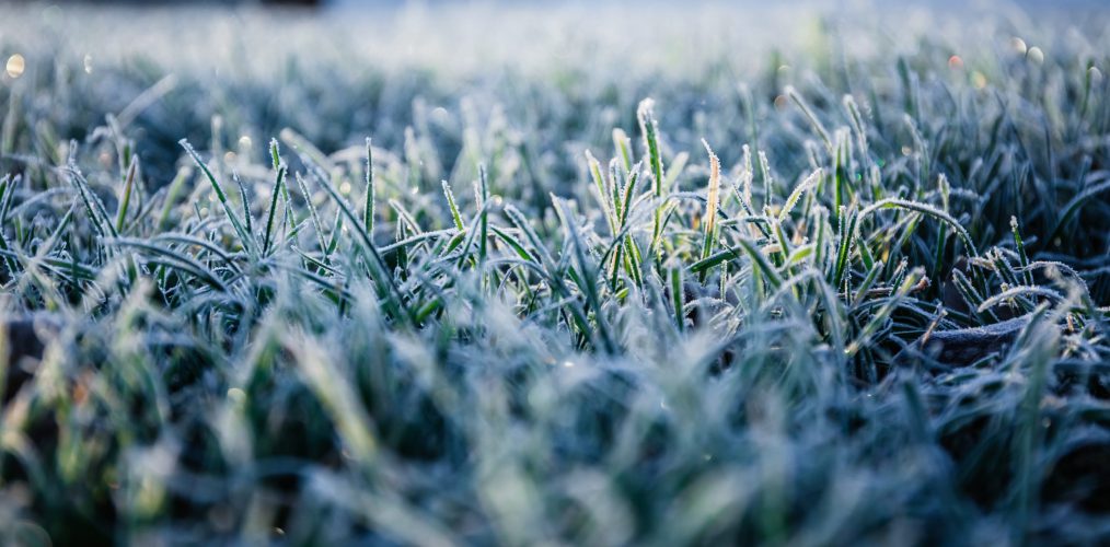 Five things you shouldn’t do to your lawn in bad weather!