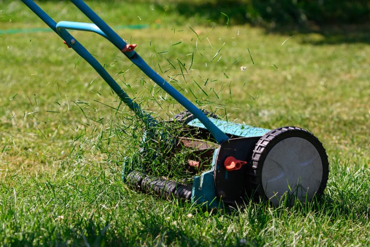 If you’re looking to be more environmentally friendly, a push mower might be the answer