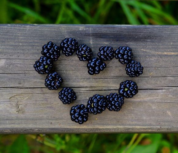 Our Favourite Blackberry Recipes