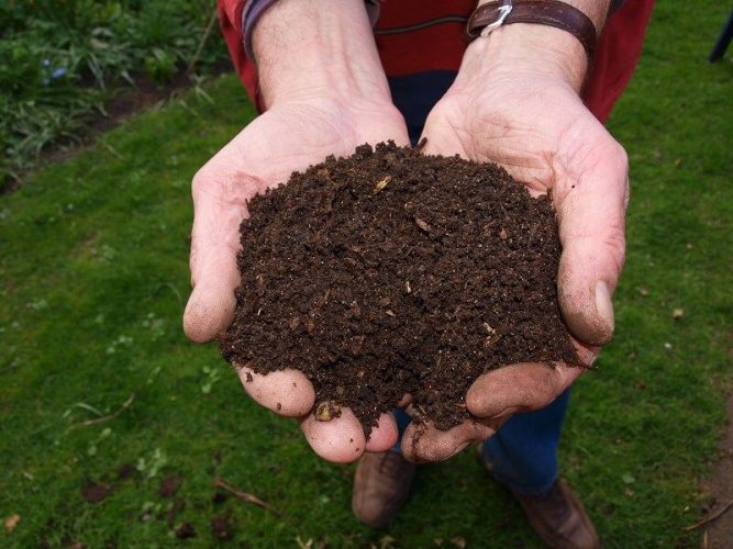 Guide To Composting