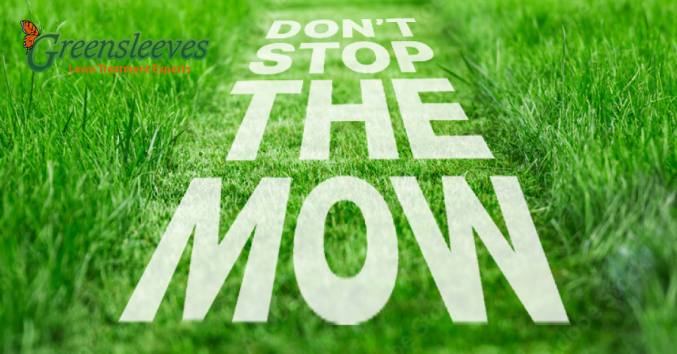 Don’t Stop the Mow