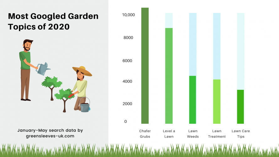 Your Most Googled Lawn Problems of 2020 (So Far)