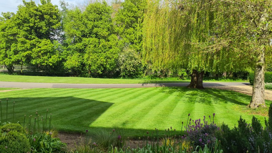 The heat is on – how Greensleeves’ seasonal treatments will protect your lawn and keep it thriving