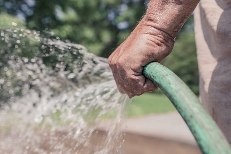 Guide To Watering Your Lawn