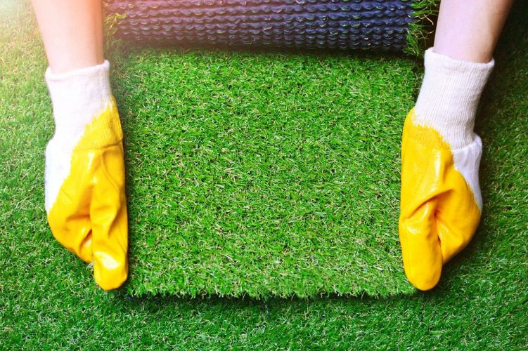 Artificial Grass Vs Natural Grass