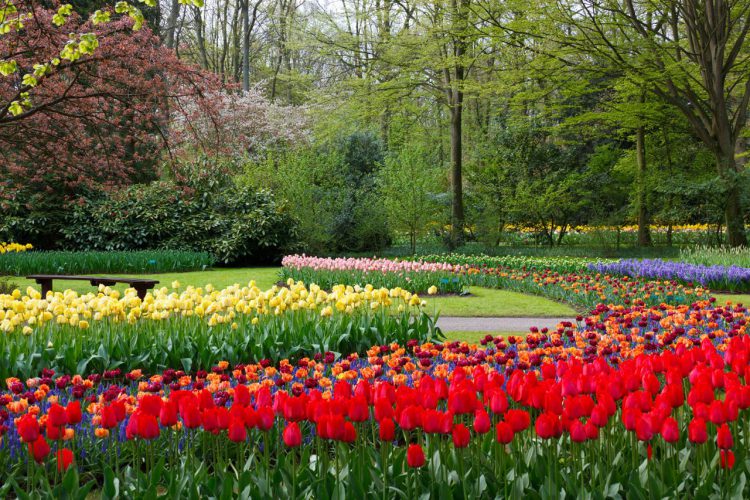 Best Gardens Around the World