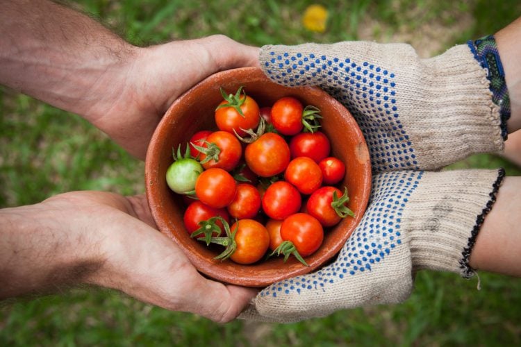 The BBQ Chef’s guide to… vegetables