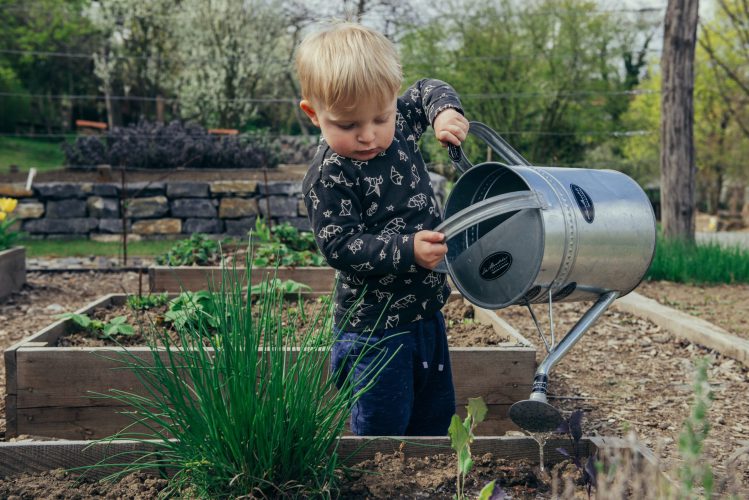 How to get children interested in gardening