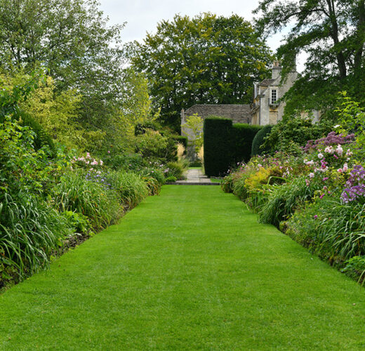 Premium Lawn Care Package | Greensleeves