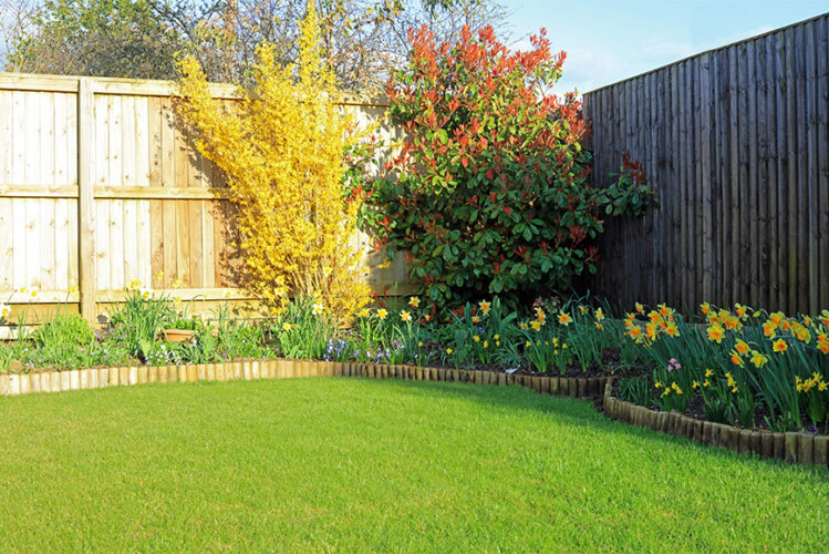 Lawn Care Services In Brighton Greensleeves lawn-care-services-in-brighton-greensleeves