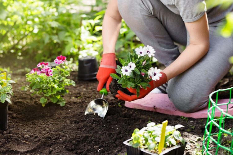 Preparing Your Garden For A Successful Spring
