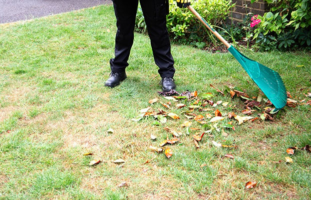 Mower Damage | Greensleeves