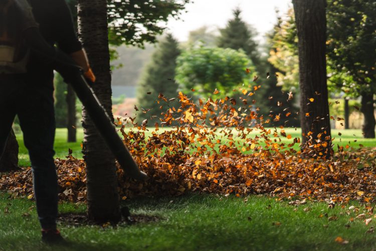 Leaf Trouble on Your Lawn or Patio?