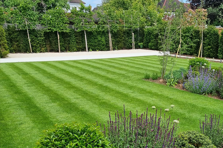 How to achieve the perfect lawn stripes