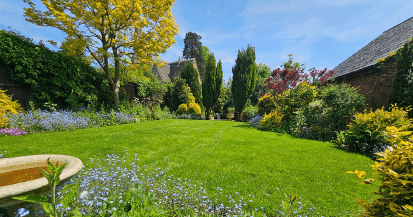 green grass