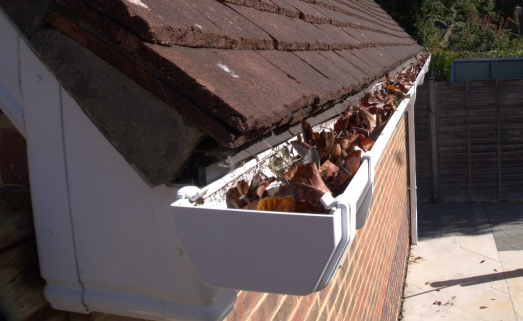 Gutter full of dead leaves