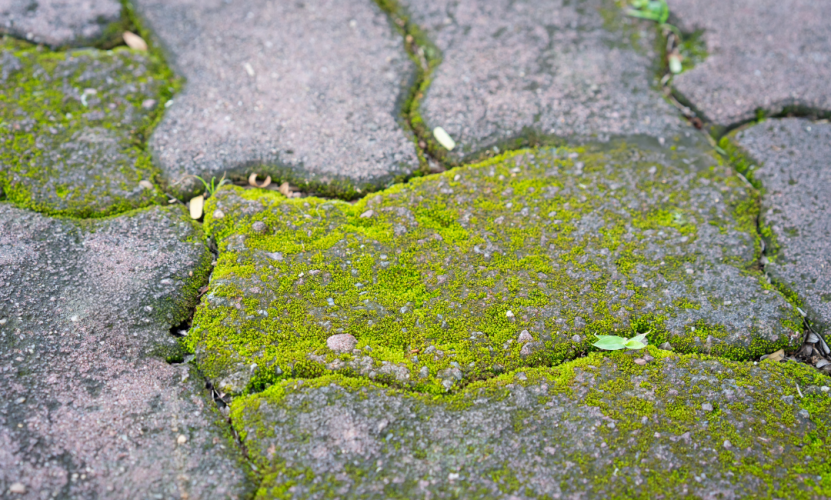 How to Keep Your Hard Surfaces Safe